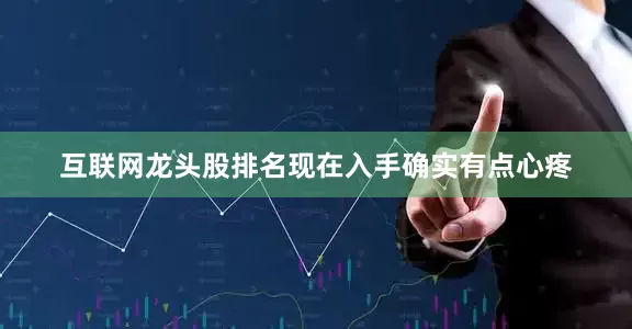 互联网龙头股排名现在入手确实有点心疼
