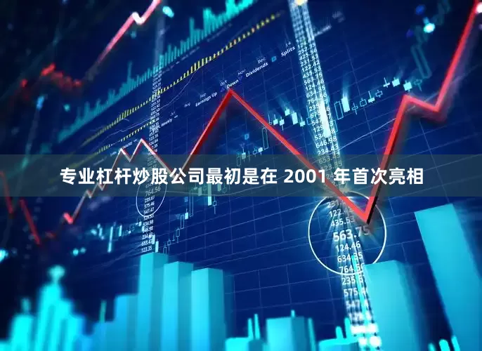 专业杠杆炒股公司最初是在 2001 年首次亮相