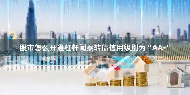 股市怎么开通杠杆闻泰转债信用级别为“AA-”